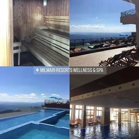 Apartment Nikola Milmari Kopaonik